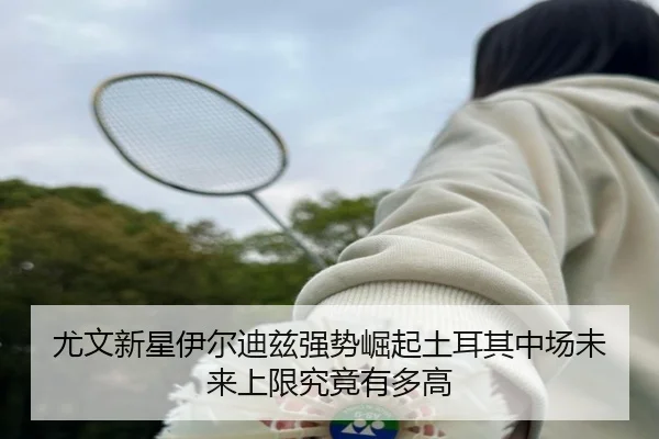 尤文新星伊尔迪兹强势崛起土耳其中场未来上限究竟有多高